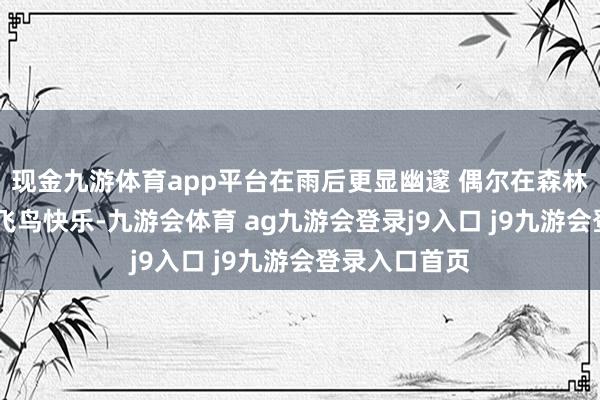 现金九游体育app平台在雨后更显幽邃 偶尔在森林里炫夸飞檐 飞鸟快乐-九游会体育 ag九游会登录j9入口 j9九游会登录入口首页