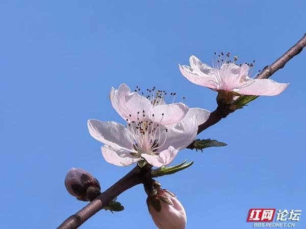 九游体育娱乐网仿佛一幅颜色斑斓的画卷冉冉张开-九游会体育 ag九游会登录j9入口 j9九游会登录入口首页